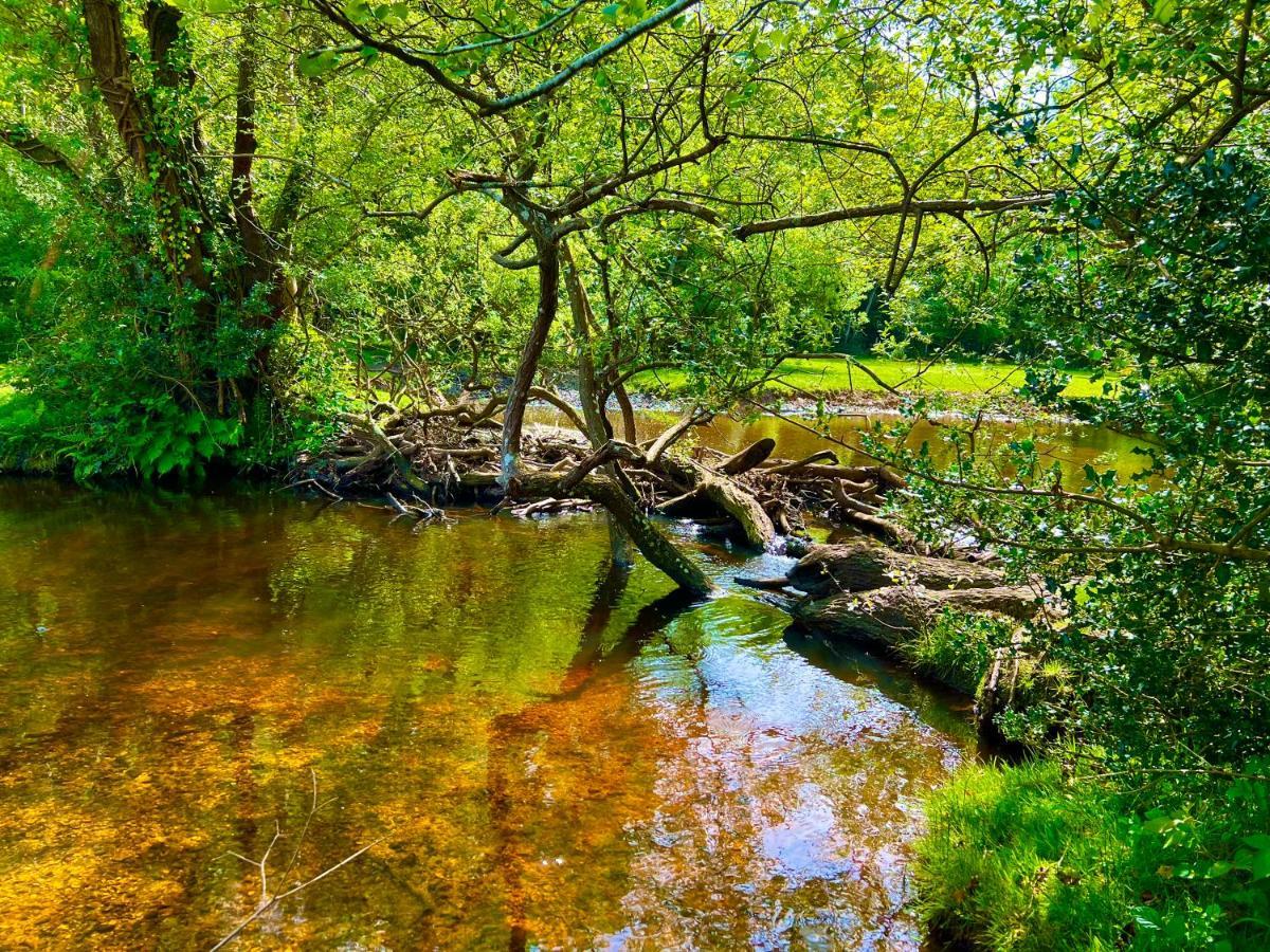Jungle Lodge Lymington Buitenkant foto