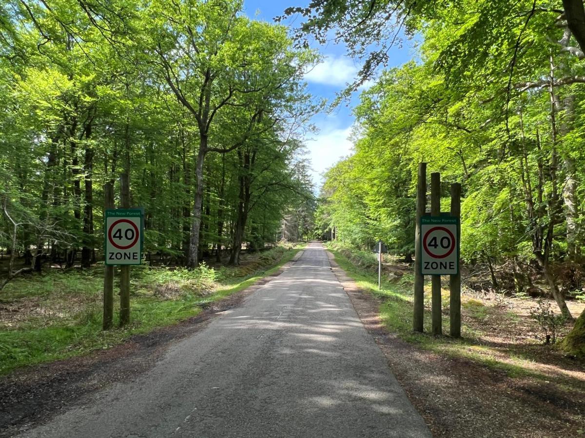 Jungle Lodge Lymington Buitenkant foto