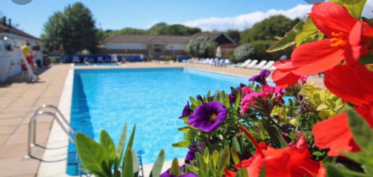 Jungle Lodge Lymington Buitenkant foto